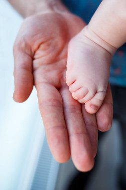 Bebeğin ayağı babanın elinde, yakın plan. Bebeğin küçük ayağı.
