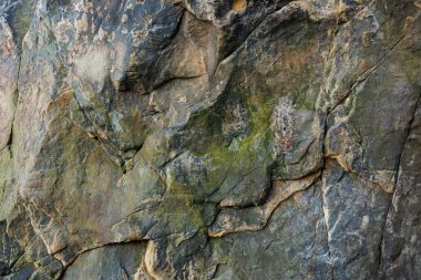 Büyük kayalık kayalar. Kayalık kayalar. Gri yosun kaplı kayalar