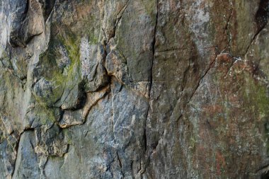 Büyük kayalık kayalar. Kayalık kayalar. Gri yosun kaplı kayalar