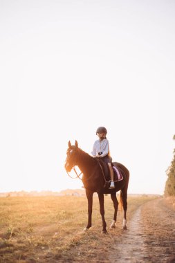 Genç bir binici, sakin bir günbatımı yolculuğunun keyfini yaşar. Muhteşem bir atın üzerinde açık arazide.
