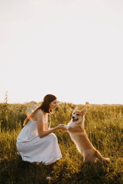 Gün batımında köpeğiyle oynayan beyaz elbiseli hoş bir genç kadın. Bir köpekle yaz yürüyüşü. İnsanın en iyi arkadaşı sevimli bir köpektir..
