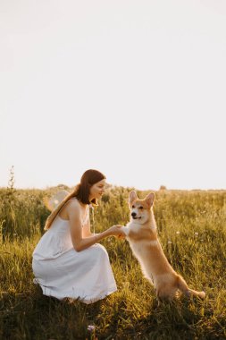 Bir kadın, köpeğiyle güneşli çimenli bir arazide neşeyle oyun oynuyor ve birlikte harika vakit geçiriyor.