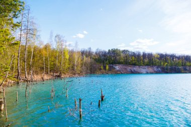 Arka planda yemyeşil ağaçlarla dolu sakin bir gölü resmeden pikselleştirilmiş bir resim, sakin ve resimsel bir manzara yaratıyor.