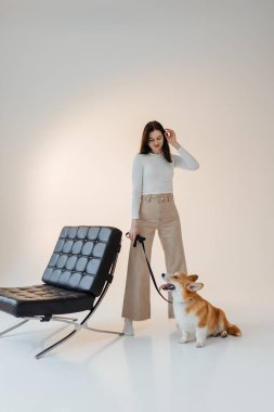 Modern yaşam için ideal şık ve minimalist bir mekanda şık bir kadın sevimli Corgisiyle poz verir.