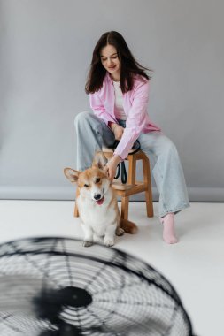 Minimalist bir ortamda, genç bir kadın bir taburede oturur, neşeli korgisini okşar, evcil hayvanlarla sahipleri arasındaki neşeli bağı ve sıcaklığı gösterir.