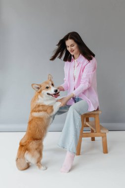 Neşeli bir kadın ve büyüleyici Corgi arasındaki hoş ve eğlenceli bir etkileşim, mutluluklarını ve derin bağlantılarını modern, şık bir stüdyo ortamında sergiliyor.