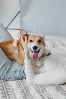 Sevimli, neşeli bir Corgi, sevgi dolu sahibiyle neşe içinde etkileşime girer. Yumuşak, rahat bir yatakta dinlenirken samimi bir arkadaşlık ve sonsuz bir aşk anı yakalar.