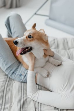 Sıcak ve rahat bir evde, neşeli bir Corgi, sadık sahibinin sevgisinin ve sevgisinin tadını çıkarıyor. Evcil hayvanlarla insanlar arasındaki özel bağı güzel bir şekilde vurguluyor.