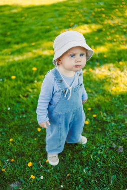 Çimenlerde şık bir tişörtle koşan ve güneşte güneşlenen sevimli bir çocuk. Neşeli bir çocuk gülüşüyle tasasız bir çocukluk. Küçük çocuk eğleniyor ve doğa yürüyüşünün tadını çıkarıyor..