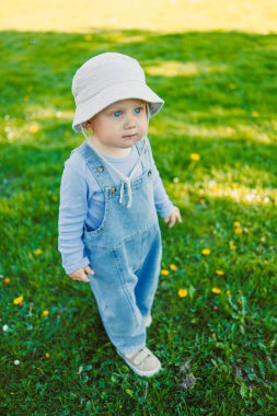 Çimenlerde şık bir tişörtle koşan ve güneşte güneşlenen sevimli bir çocuk. Neşeli bir çocuk gülüşüyle tasasız bir çocukluk. Küçük çocuk eğleniyor ve doğa yürüyüşünün tadını çıkarıyor..