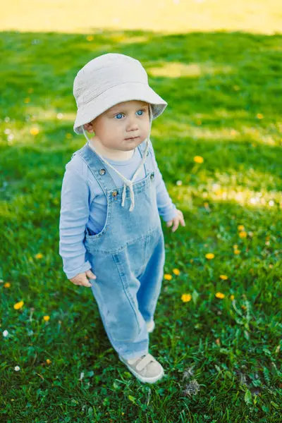 Çimenlerde şık bir tişörtle koşan ve güneşte güneşlenen sevimli bir çocuk. Neşeli bir çocuk gülüşüyle tasasız bir çocukluk. Küçük çocuk eğleniyor ve doğa yürüyüşünün tadını çıkarıyor..