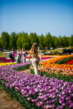 Bir kadın neşeyle yürür çarpıcı bir lale tarlasında, çeşitli renklerde canlı çiçeklerle çevrili, açık mavi gökyüzü ile, baharın özünü yakalar.