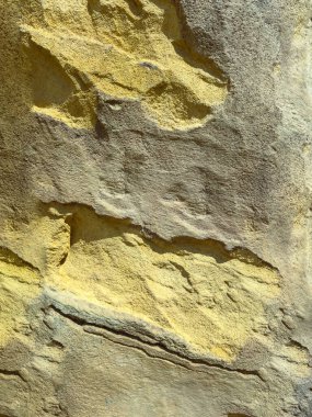 Bu güzel desenli kaya görüntüsü eşsiz ve karmaşık sarı ve gri desenlerini sergiliyor. Bu da onu çeşitli doğa ve jeolojik projeler için mükemmel kılıyor.