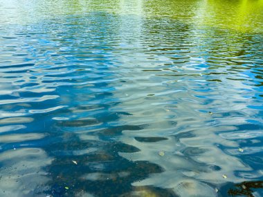 Dalgalanan mavi suyun rahatlatıcı görüntüsü yukarıdaki yemyeşil yeşilliği nazikçe yansıtıyor, bu da rahatlama ve huzur için mükemmel bir ortam yaratıyor.