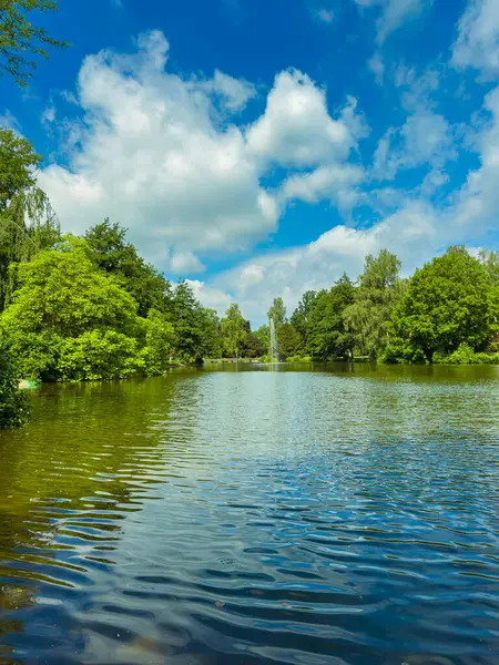 Çarpıcı bir manzara, bereketli ağaçlarla çevrili sakin bir göl, kabarık bulutları yansıtan parlak mavi bir gökyüzü, sükunet arayan doğa aşıkları için ideal.