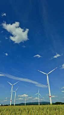 Tarlada olgunlaşan tahıllarla birlikte yeşil buğday başakları yel değirmenlerinin arka planında. Kırsal bölgedeki yel değirmenlerinin enerji üretimi. Yeşil buğday tarlasının olgunlaşması..