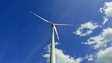 Tarlada olgunlaşan tahıllarla birlikte yeşil buğday başakları yel değirmenlerinin arka planında. Kırsal bölgedeki yel değirmenlerinin enerji üretimi. Yeşil buğday tarlasının olgunlaşması..