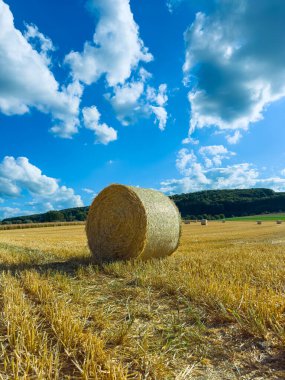Güzel bir sahne, altın bir tarlada, tüylü bulutlu mavi bir gökyüzünün altında, kırsal sükunetin ve doğal cazibenin özünü yakalayan saman balyasını gösteriyor.