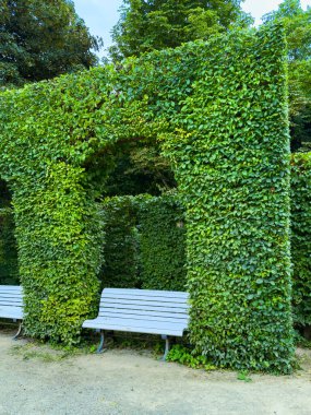 Canlı yeşil bir kemer yolu, zarif bir şekilde sarmaşıkla örtülmüş, güzel işlenmiş beyaz bir bank sunar, ziyaretçileri dinlenmeye ve sakin bir bahçe ortamında gevşemeye davet eder