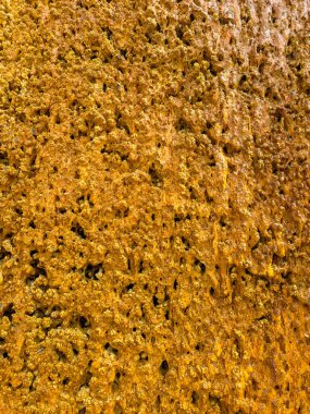 Doğal bir kaya yüzeyinin yakın çekiminde, görsel cazibeyi vurgulayan zengin dokular ve sıcak tonlar, özgeçmiş, doğa temaları veya jeolojik çalışmalar için idealdir.