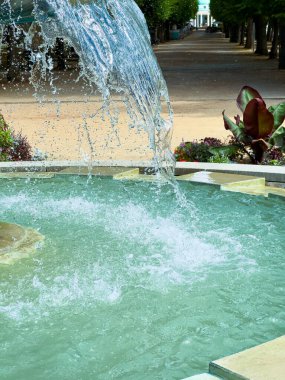 Şelaleli güzel bir çeşme, serinliği artıran yemyeşil ve canlı bitkiler tarafından çerçevelenmiş sakin bir parkta ferahlatıcı bir atmosfer yaratır.