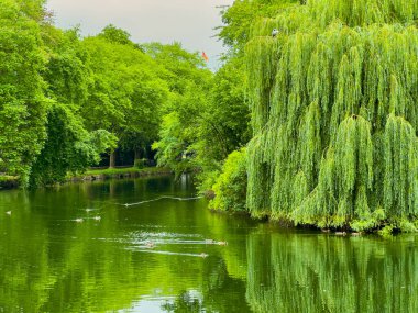 Sakin bir nehir manzarası, bereketli yeşillikleri ve mavileri yansıtır, yemyeşil ağaçlar ve ağlayan söğütler tarafından çerçevelenir, rahatlama ve huzur arayan doğa aşıkları için mükemmeldir.