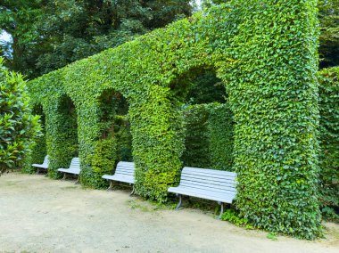 Yeşil kemerler ve ahşap banklar ile pitoresk bir bahçede dolaşmak, dingin, sakin bir açık alan güzelliği ve rahatlama ve zevk doğası için mükemmel