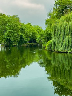 Huzurlu bir nehrin yanında huzur içinde, yemyeşil bir nehri yansıtan, ruhu gençleştiren ve dışarıda gerçek rahatlığı sağlayan huzurlu bir kaçış sunan doğaya dalmak.