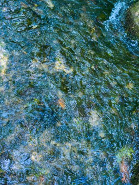 Pürüzsüz taşların üzerinden akan parlak mavi suyun altında canlı su bitkilerini ortaya çıkardığı huzurlu bir ortam hayal edin.