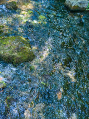 Güneş ışığında parlayan kristal berrak bir derenin sakin bir görüntüsü, canlı Mossled kayalarla çevrili, doğayla derin bir barış ve bağlantı hissi uyandırıyor.