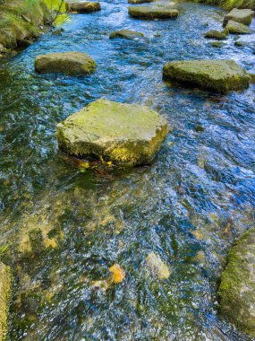 Bereketli yeşilliklerle çevrili, pürüzsüz, yosunlu kayaların üzerinden akan sakin bir dere rahatlatıcı bir sahne yaratır ve herkesi güzelliğinin tadını çıkarmaya davet eder.