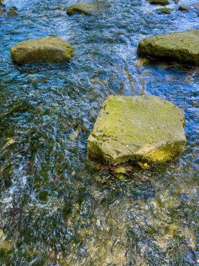 Dönen bir dere, berrak sularının altındaki renkli taşları ortaya çıkararak, doğada rahatlamak ve gevşemek için sakin bir kaçış sağlar.