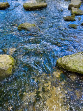 Mosscovered kayalar ve berrak su ile akan akıntıya huzurlu bir bakış açısı, doğada rahatlama, meditasyon ve gençleşme için ideal huzurlu bir ortam yaratıyor.