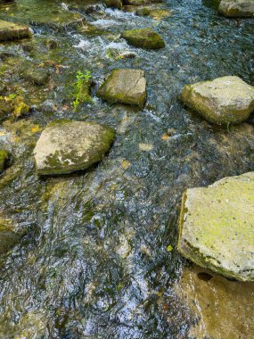 Yumuşak akan akarsuyun sakin manzarası Mosscovered taşları üzerinde, mükemmel bir şekilde sergilenen doğanın dinginliği ve nefes kesici güzelliği canlı bir açık hava ortamında