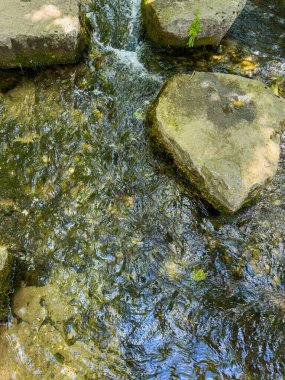 Sakin bir akarsu pürüzsüz kayaların üzerinden akar, yemyeşil ile çevrili sakin bir atmosfer yaratır, onu dinlenmek ve doğal güzelliğin tadını çıkarmak için ideal bir yer yapar.