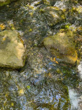Nefes kesen bir manzara, berrak suyun altında görünen parlak taşların aktığı, doğal sakinliği vurgulayan ve barışçıl yansımaları davet eden yumuşak bir akıntıyı gösteriyor.