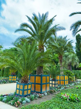 Mavi ve sarı fidanlıktaki canlı palmiye ağaçları renkli çiçeklerle dolu verimli bir bahçeyi tamamlayarak rahatlamak için mükemmel bir açık hava ortamı yaratırlar.