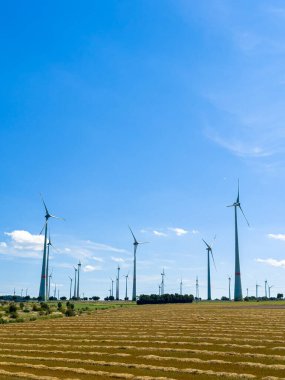 Uçsuz bucaksız, geniş bir açık alanda sürdürülebilir enerji potansiyelini vurgulayan açık mavi gökyüzüne karşı sayısız rüzgar türbininin nefes kesici ve çarpıcı görüntüsü.