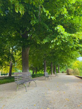 Huzurlu bir manzara, güzel bir parkta, doğa ve doğa sesleri arasında rahatlama ve sükunet için mükemmel bankları olan ağaçlı bir yürüyüş yolunu içerir.