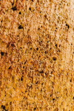 Bu yakın plan resmi paslı kahverengi tonlara ve karmaşık desenlere sahip desenli bir yüzeyi, doğadan esinlenilmiş arka planlar ve benzersiz tasarım uygulamaları için idealdir.