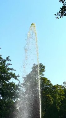 Bu çarpıcı su çeşmesinin güzelliğini deneyimlemek, gökyüzüne doğru yükselmek, huzurlu bir parkta yemyeşil bir ortam, rahatlama ve yansıma için ideal.