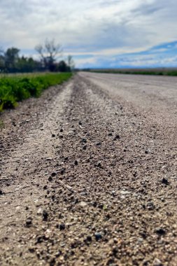 Toprak bir yol, uzak ağaçlar ve bulutlu gökyüzü ile çevrili yemyeşil çayırlardan geçer. Huzurlu bir yürüyüş için mükemmel sakin bir atmosfer yaratır..