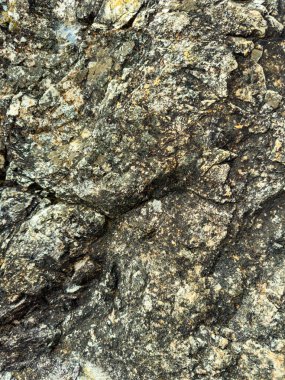 Güneş ışığı engebeli bir kaya yüzeyine sıcak tonlar atar. Karmaşık dokular ve doğal desenlerle dolu. Doğanın sanatsal güzelliğini ortaya çıkarır..