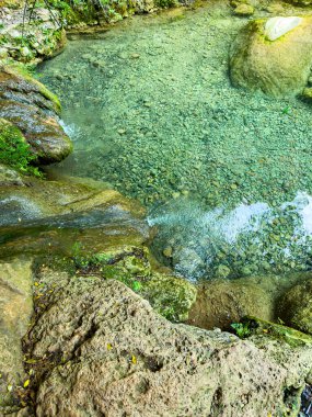 Huzurlu bir orman sahnesinde berrak kayaların üzerinden yumuşak bir şekilde akar. Bereketli yeşillik huzurlu bölgeyi sarar, ziyaretçileri dinlenmeye ve doğanın güzelliğinin tadını çıkarmaya davet eder..