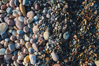 Çeşitli renk ve boyutlarda çakıl taşları kumlu sahili kaplıyor ve sabahın erken saatlerinde güneş ışığını yansıtıyor. Düzenleme rahatlatıcı ve doğal bir model yaratıyor, daha yakından bakmamızı sağlıyor..