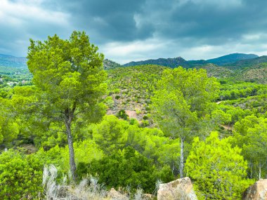 Görkemli yeşil tepeler gözün alabildiğince uzanıyor, zengin ağaçlarla kaplı ve fırtınalı bir gökyüzü tarafından çerçevelenmiş bu sakin kırsal bölgenin doğal güzelliğini arttırıyor..