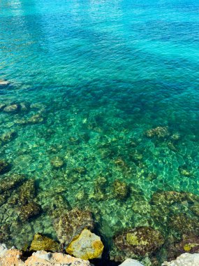 Sakin su, güneş ışığı altında parlayan çeşitli sualtı kaya ve mercanlarını sergiliyor. Sahne, doğanın su altı ekosisteminin güzelliğini yakalar..