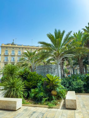 Palmiye ağaçları ve canlı bitkiler Barselona 'da güneşli bir parkı dolduruyor. İnsanlar rahatlatıcı bir atmosferde yeşil alanların güzelliğini gösteren manzaranın tadını çıkarıyorlar..