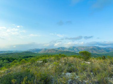 Yuvarlanan tepeler ufuk boyunca uzanır, uçsuz bucaksız mavi gökyüzünün altında yemyeşil ağaçlarla harmanlanır. Sahne, huzurlu güzelliği ve dokunulmamış doğası ile büyülenir. Keşif ve yansımaya davet edilir..