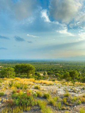Altın çimenler ve canlı ağaçlar, güneş batarken uyum içinde harmanlanarak, bu bereketli bölgede huzur ve sükuneti davet eden yumuşak gölgeler oluştururlar..